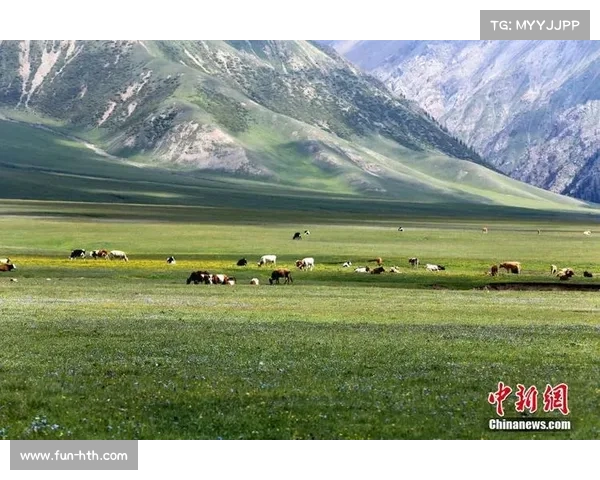 中国新能源汽车拉力锦标赛首度登陆新疆博州 串联十余处文旅地标开启绿色赛车之旅